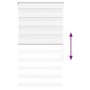 Product Thumbnail Image 5 of 16