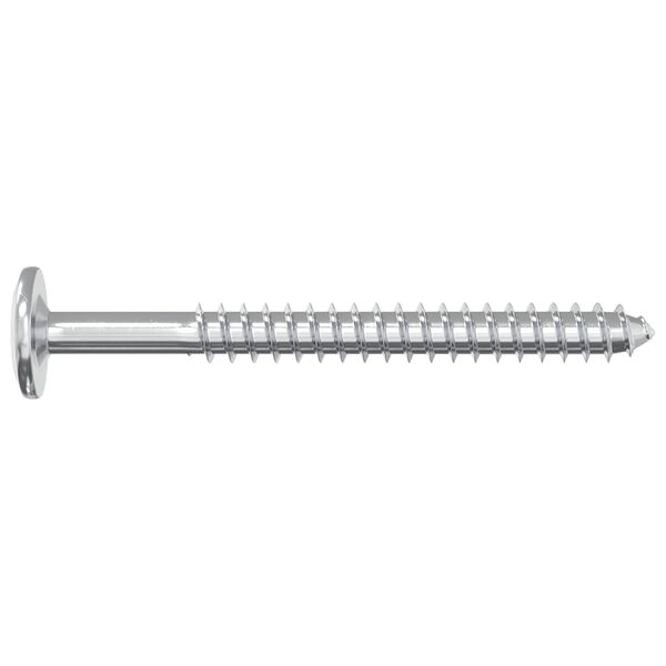vidaXL Wood Screws 2 pcs Silver M6 x 70 mm Steel