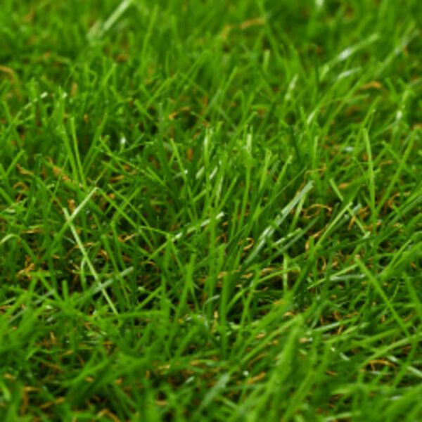 Showing Product Image 2 of 3