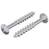 vidaXL Screw 2 pcs Silver 9.8 x 35 mm Iron
