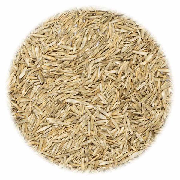vidaXL Gazon Grass Seed 10 kg