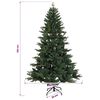 Product Thumbnail Image 11 of 13