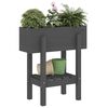 vidaXL Garden Planter Grey 62x30x69 cm Solid Wood Pine