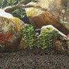 Product Thumbnail Image 2 of 5