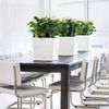 LECHUZA Planter CUBE 30 ALL-IN-ONE High-gloss White