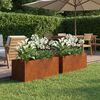 Product Thumbnail Image 2 of 11