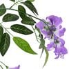 Product Thumbnail Image 4 of 6