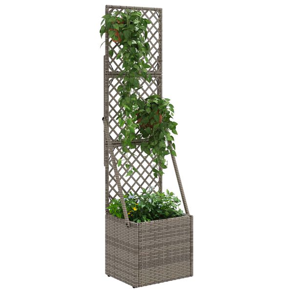 Showing Product Image 3 of 11
