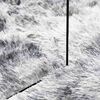 vidaXL Shaggy Rug High Pile NAVARRA Silver Grey 300x200 cm Polyester