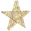 vidaXL 3D Star 50 LEDs Warm white 55 x 52.5 x 9 cm PET