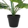 Product Thumbnail Image 4 of 6
