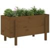 vidaXL Garden Raised Bed Honey Brown 101x50x57 cm Solid Wood Pine