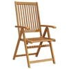 vidaXL Folding Chairs 2 pcs Solid Acacia Wood Brown