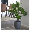 House Nordic Artificial Tree Magnolia 90 cm Green