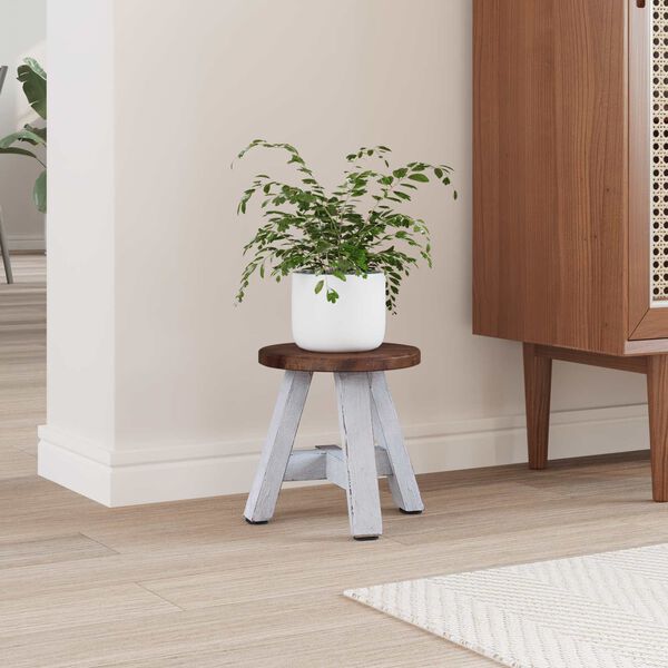 vidaXL Stool Natural 22 x 22 x 24 cm Mahogany Wood