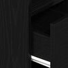 vidaXL Bedside Cabinet with Drawer Black 25x31x66 cm