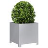 Product Thumbnail Image 3 of 11