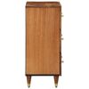 vidaXL Side Cabinet 60x33x75 cm Solid Wood Mango