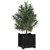 vidaXL Garden Planters 2 pcs Black 31x31x31 cm Solid Pinewood