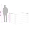 vidaXL Garden Raised Bed WPC 150x100x91 cm Grey