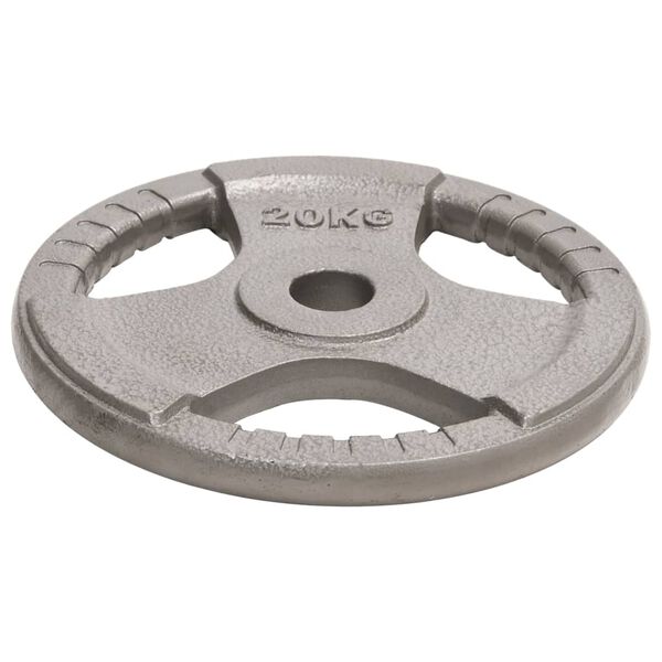 vidaXL Olympic Weight Plate 20 kg Cast Iron