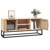 vidaXL TV Cabinet 105x30x45 cm Engineered Wood and Iron