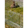 Kerbl Young Animal Free Range Enclosure with Escape Barrier 144x112x60 cm Chrome