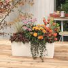 Product Thumbnail Image 4 of 7