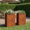 Product Thumbnail Image 2 of 11