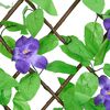 Product Thumbnail Image 6 of 7