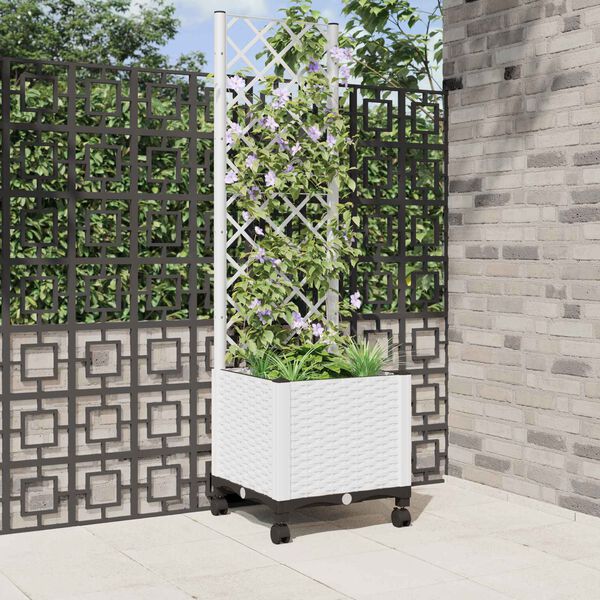 Showing Product Image 2 of 8