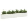 Product Thumbnail Image 2 of 7