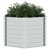 Product Thumbnail Image 4 of 6