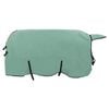vidaXL Horse Blanket Special Green 155 cm Polyester Fleece