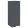 vidaXL Parcel Drop Box with Storage Anthracite 41 x 38 x 103 cm Steel