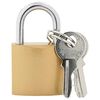 vidaXL U Lock with Keys 100 pcs Brass Iron