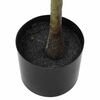 Product Thumbnail Image 3 of 5