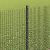 Product Thumbnail Image 4 of 14