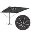 Product Thumbnail Image 12 of 16