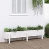 vidaXL Garden Raised Bed White 160x30x38 cm Solid Wood Pine