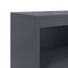 vidaXL Highboard Anthracite 68.5x38.5x123.5 cm Steel