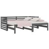 vidaXL Pull-out Day Bed without Mattress Grey 2x(80x200)cm