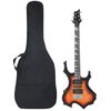 vidaXL Electric Guitar for Beginner with Bag Brown and Black 4/4 39"