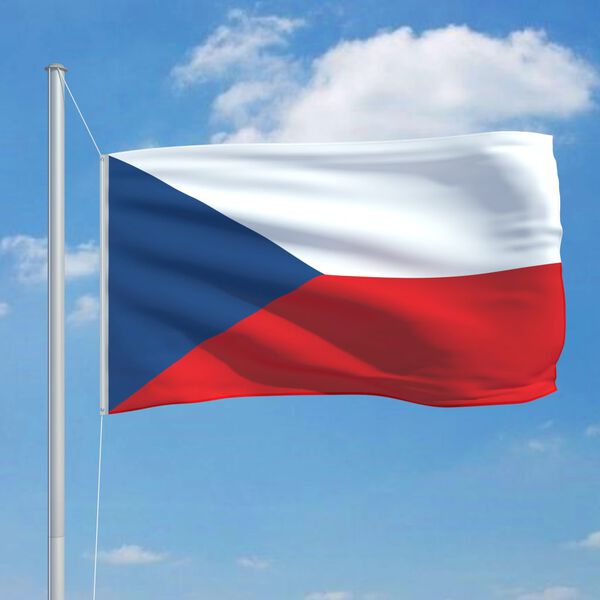 vidaXL Czech Flag 90x150 cm