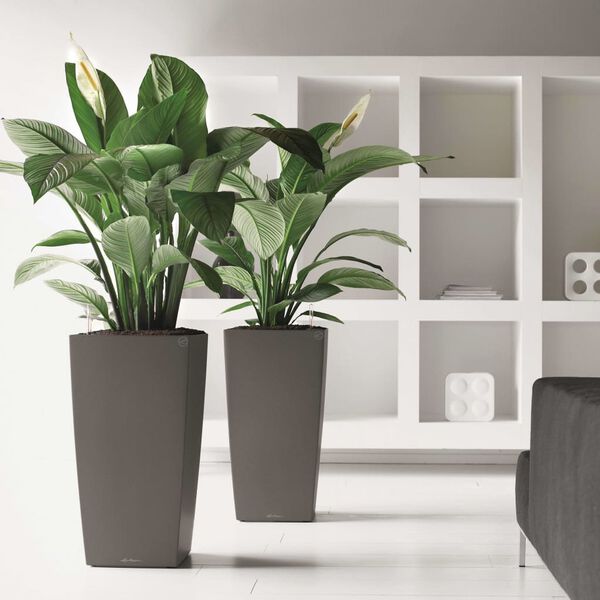 LECHUZA Planter Cubico 30 ALL-IN-ONE Charcoal 18184