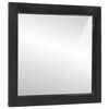 vidaXL Bathroom Mirror 55x1x60 cm Glass and Solid Wood Mango