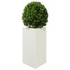 Product Thumbnail Image 4 of 12