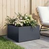Product Thumbnail Image 2 of 7
