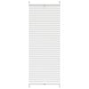 Plisse Blind 60x100cm White Pleated Blind