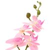 Product Thumbnail Image 4 of 5